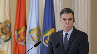 The court found that the suspect had been "determined" to kill Spain's Prime Minister Pedro Sanchez.
