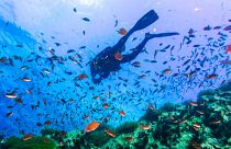 Scuba diving for disabled travellers is becoming a popular excursion in southern Thailand