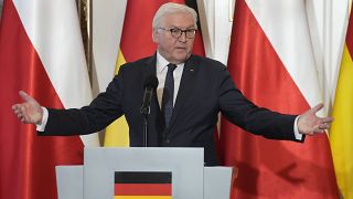Президент Германии на пресс-конференции в Польше 12 апреля