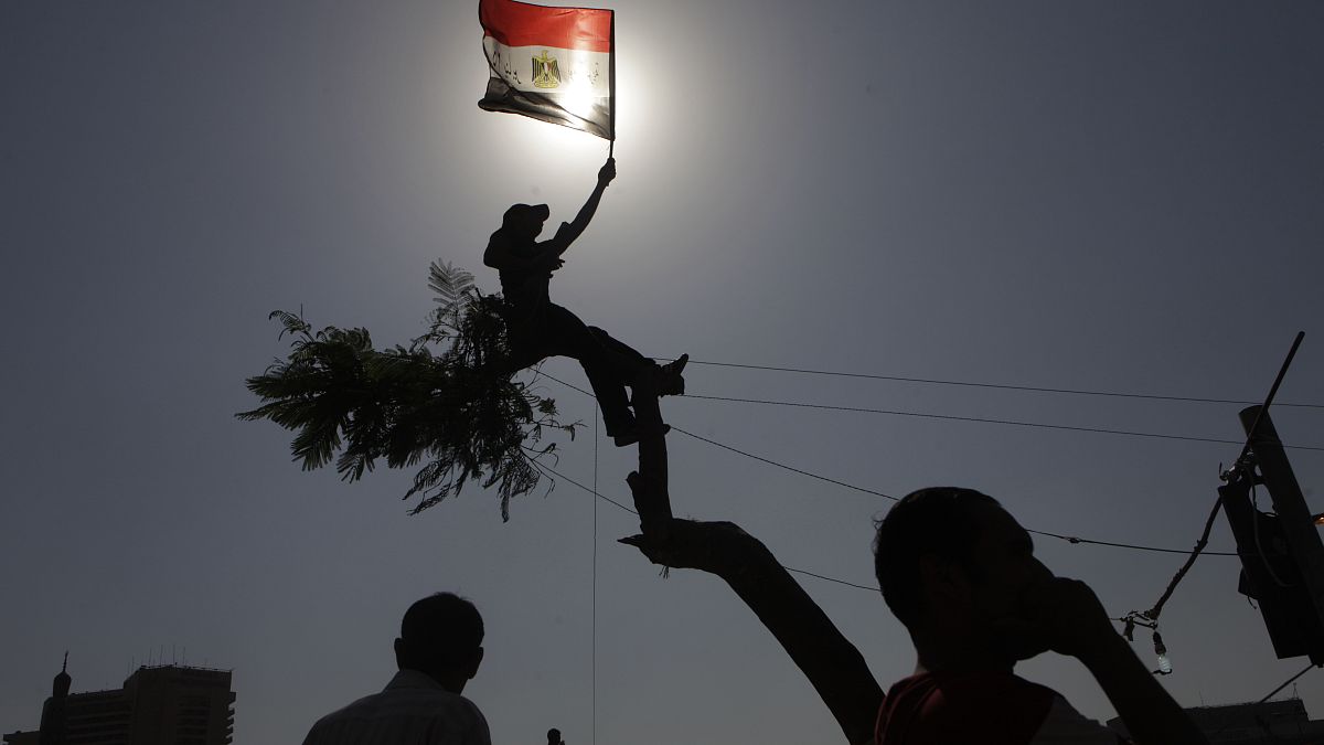 متظاهرة تلوح بالعلم المصري فوق شجرة في ميدان التحرير