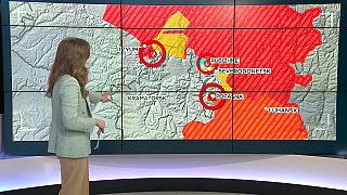 Корреспондент Euronews Саша Вакулина на фоне карты военных действий на Украине, 13/04/2022