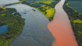 The Amazon Rainforest is being severely impacted by deforestation. 