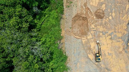 An aerial view of deforestation in Borneo.