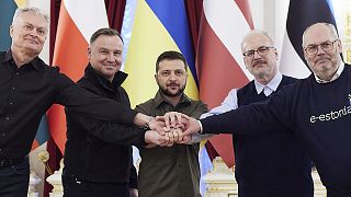 Lithuania's President Nauseda, Polish President Duda, Ukrainian President Zelenskyy, Latvian President Levits and Estonia's President Karis pose for a picture in Kyiv