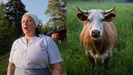 In Scandinavia, a unique vocal technique evolved across the centuries is used to call cows home from the pastures for the evening