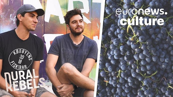 Natural born winemakers: German brothers transforming their family vineyard