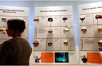 صورة من الارشيف- جماجم البشر الأوائل داخل قاعة ديفيد إتش كوخ للأصول البشرية في متحف سميثسونيان الوطني للتاريخ الطبيعي- واشنطن