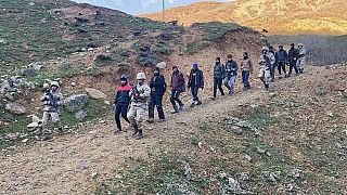Bitlis'te, yurda yasa dışı yollarla giren 99 düzensiz göçmen ile 6 organizatör yakalandı
