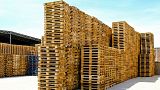 Ukraine, Russia and Belarus were key to Europe’s supply of wooden pallets. The war and sanctions upended the market.