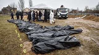 Tömegsírból kihantolt emberek nejlonzsákba helyezett holttestei Bucsában
