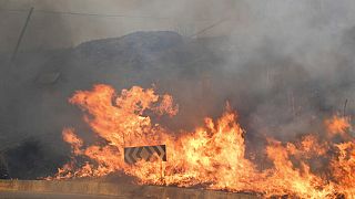 agosto 2021, un incendio nella provincia di palermo (foto d'archivio)