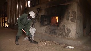 Kenya : des excréments recyclés en charbon