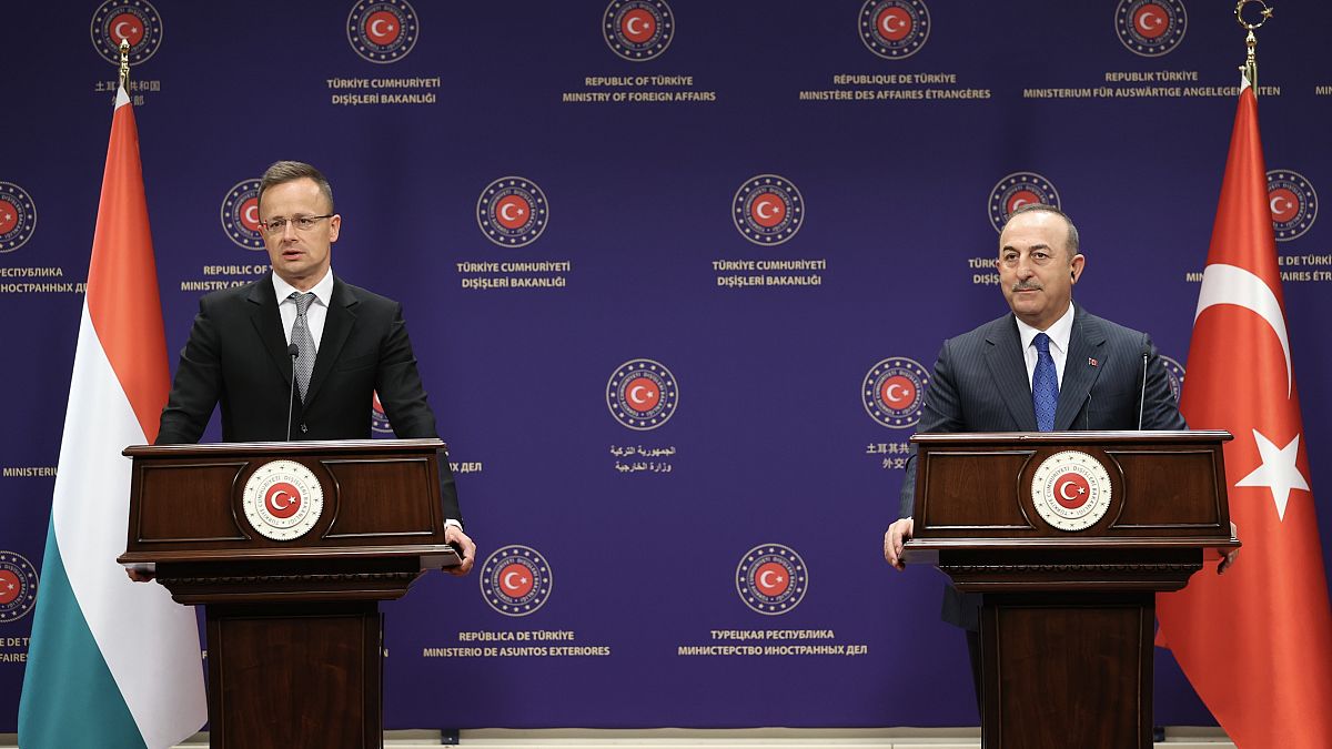 Dışişleri Bakanı Mevlüt Çavuşoğlu ve Macaristan Dışişleri ve Dış Ticaret Bakanı Peter Szijjarto 
