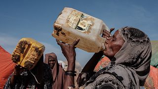 L'Afrique de l'Est face à sa pire sécheresse depuis 40 ans
