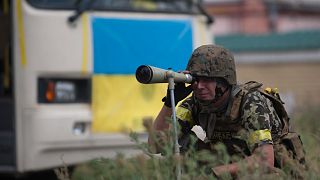 A Ukrainian government looks through a telescopic sight while guarding the positions in village Mariinka near Donetsk, eastern Ukraine, Aug. 11, 2014.