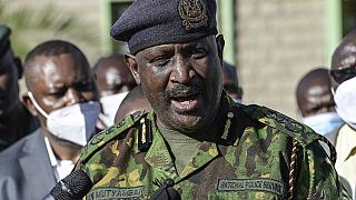 2,000 Kenyan police 'mentally unfit' to serve - IGP