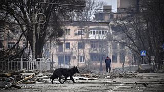 Es halten sich nach wie vor Bewohner in Mariupol in der Ukraine auf