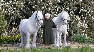 In this photo released by Royal Windsor Horse Show on Wednesday, April 20, 2022 and taken in March 2022, Britain's Queen Elizabeth II poses for a photo with her Fell ponies