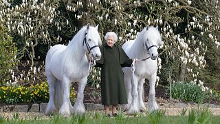 In this photo released by Royal Windsor Horse Show on Wednesday, April 20, 2022 and taken in March 2022, Britain's Queen Elizabeth II poses for a photo with her Fell ponies 