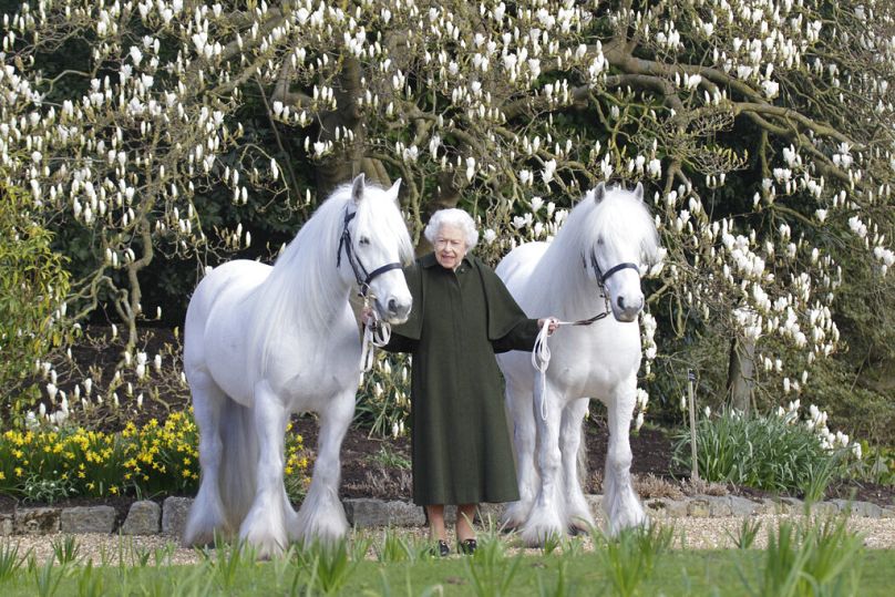 Photo : Royal Windsor Horse Show (henrydallalphotography.com)