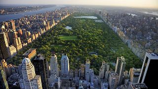 Central Park, New York