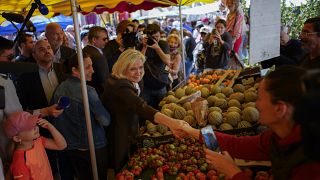 Марин Ле Пен встречается с избирателями на городском рынке