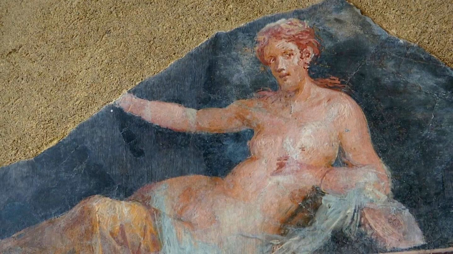 Rumpy Pompeii Sex lives of the wild and ancient erupt in new exhibition Euronews picture