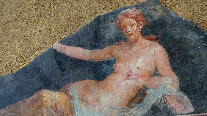 'Rumpy Pompeii': Sex lives of the wild and ancient erupt in new exhibition