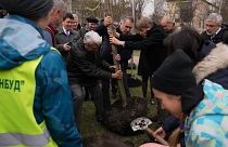 Eurodeputados plantam árvores no "Parque da Paz", em Bucha, Ucrânia