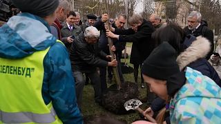 Európai parlamenti képviselők fákat ültetnek a Béke Parkjában az ukrajnai Bucsában.