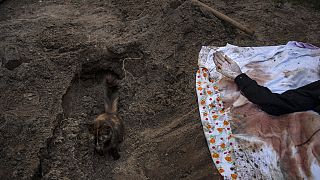 Exhumierte Leiche in Irpin, Ukraine. Die Ukraine fürht Ermittlungen wegen Kriegsverbrechen durch.
