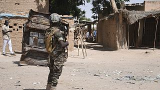 Niger approves deployment of foreign forces to fight jihadists