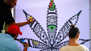 L'Afrique du Sud approuve sa première pharmacie légale de cannabis
