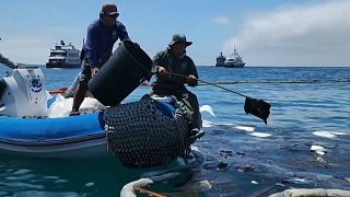 Limpieza del derrame de diésel tras el naufragio de una embarcación en el archipiélago de Galápagos, Ecuador 23/4/2022