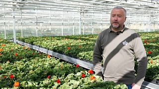 Rob Dowling, Royal Parks Nursery, Manager