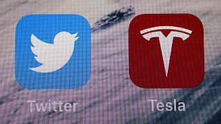 Иконки приложений Twitter и Tesla на экране IPhone