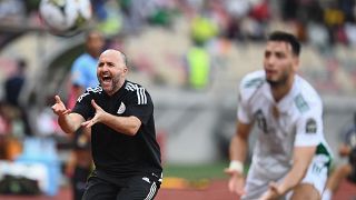 Djamel Belmadi to remain at the helm of the Algeria national team
