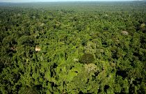 Floresta Amazónica