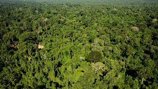 Floresta Amazónica