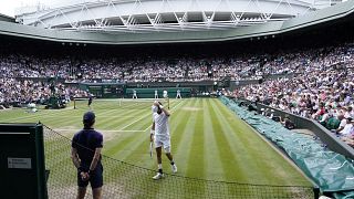 L'inconfondibile tappeto verde di Wimbledon. (Finale Djokovic-Berrettini, 11.7.2022)
