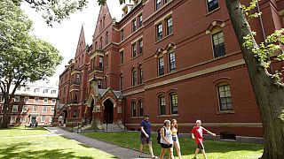 Harvard üniversitesi kampüsü (arşiv)