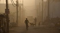 Hindistan'ın başkenti Yeni Delhi yakınlarındaki Bhalswa katı atık depolama sahasındaki yangından çıkan zehirli dumanlar sıcak havada nefes almayı zorlaştırıyor