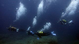 photo d'illustration : plongeurs dans les eaux de la Méditerranée, non loin de l'île de Port-Cros, le 26 juillet 2014