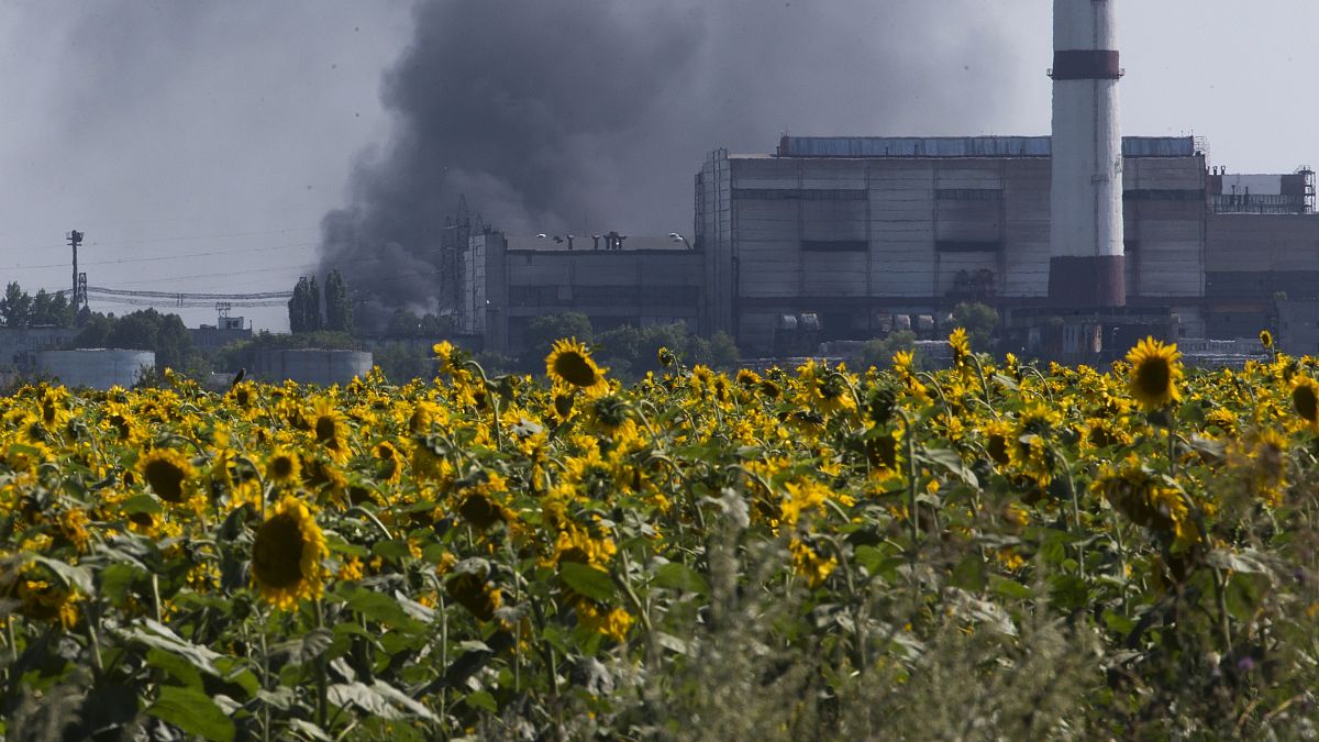 ارتفاع دخان من مصفاة لتكرير النفط فوق حقل أزهار دوار الشمس قرب مدينة ليزيشانك في منطقة لوغانسك شرق أوكرانيا