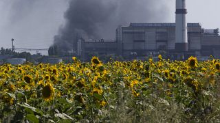 ارتفاع دخان من مصفاة لتكرير النفط فوق حقل أزهار دوار الشمس قرب مدينة ليزيشانك في منطقة لوغانسك شرق أوكرانيا