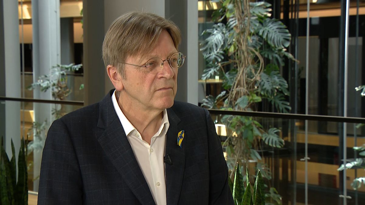 Avrupa Parlamentosu üyesi Guy Verhofstadt