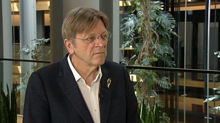 'People like Europe, they have a European dream', says MEP Guy Verhofstadt