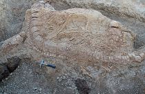 اسکلت کشف شده یک ایکتیوسور در هند(عکس آرشیوی است)