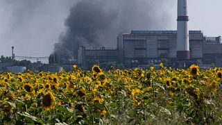 Smoke from an oil refinery rises over a field of sunflowers near the city of Lisichansk, Luhansk region, eastern Ukraine on July 26, 2014. 