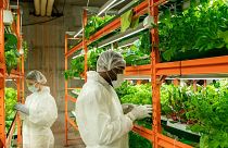 There are more green jobs than people with the skills to do them, says the expert.